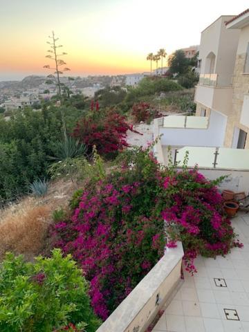 Beau Views Seven Daire Peyia Dış mekan fotoğraf